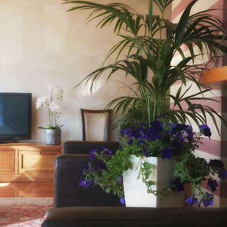 Hotel Vittoria Rubano