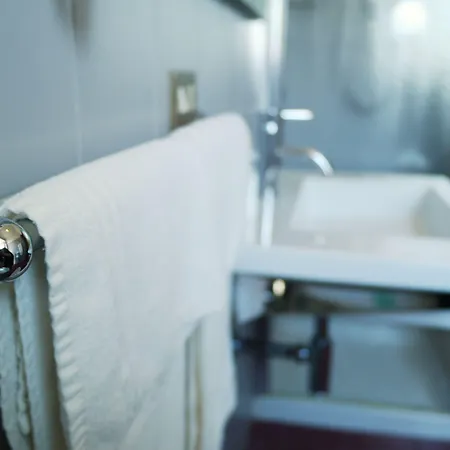 酒店 维多利亚酒店 4*